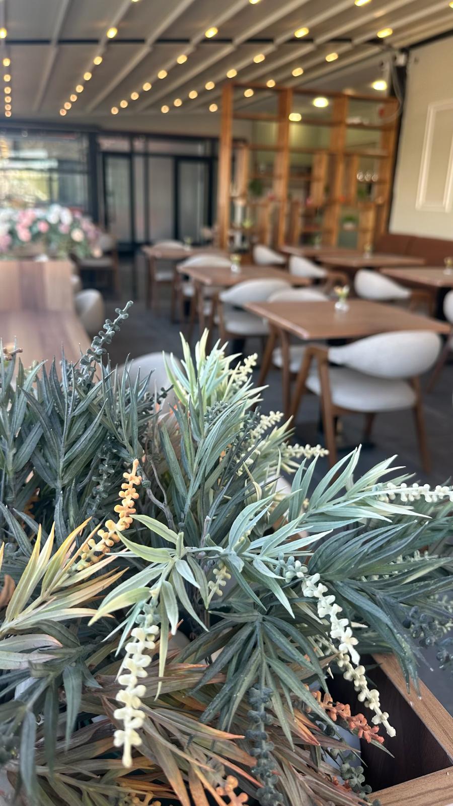 Cafe bitki dekorasyonu